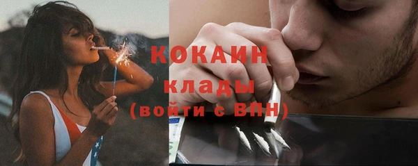 стаф Ладушкин