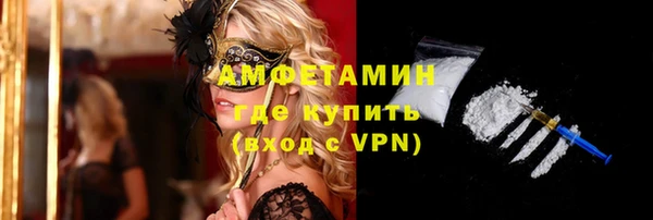 стаф Ладушкин