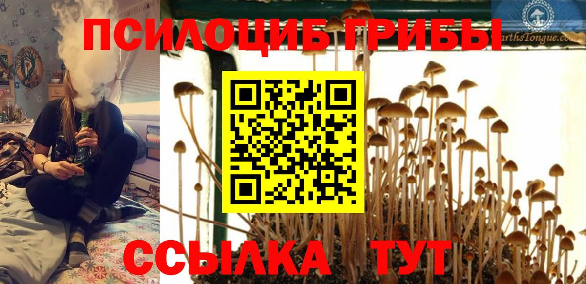 Псилоцибиновые грибы мицелий Иваново