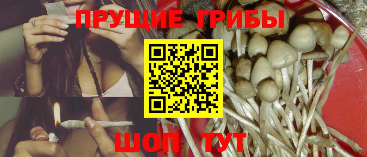 Псилоцибиновые грибы Magic Shrooms  Иваново 