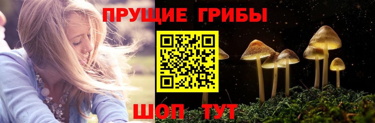 Псилоцибиновые грибы GOLDEN TEACHER  Галлюциногенные грибы прущие грибы  Вход с VPN  Иваново 