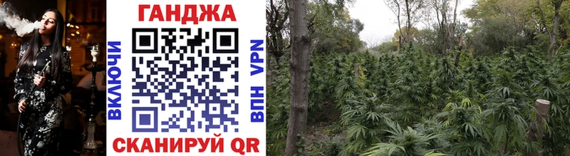 ссылка на мегу как зайти  Иваново  Конопля SATIVA & INDICA 